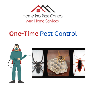 BPC Pest Control