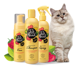 good at dog grooming